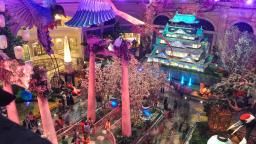 EarthCam: Bellagio Conservatory Cam