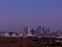 Sheraton Park Tower